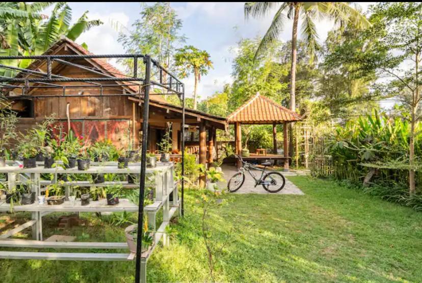 מלון גילי אייר Al-Shifa Healing House Lombok מראה חיצוני תמונה